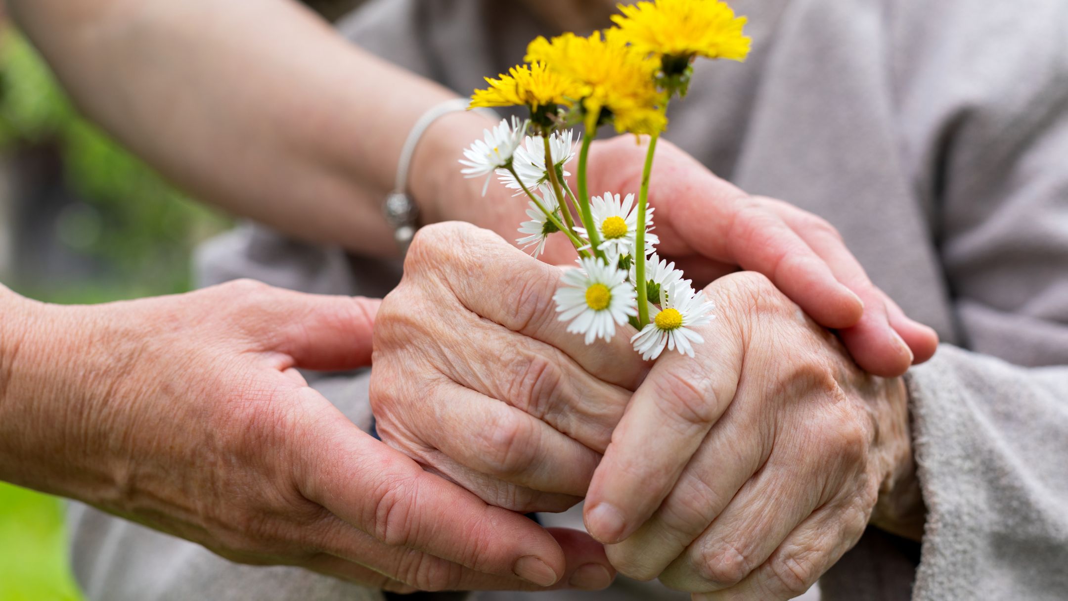 Caregiver and senior sharing a warm moment together, holding wildflowers